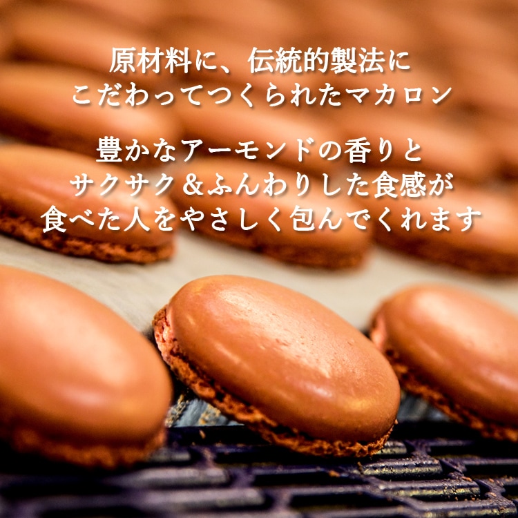 シャトーブラン マカロン 144g 6種×各2個 計12個入り フランス製