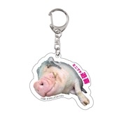 遊喜（ミニブタ）／レジェンド・アクリルキーホルダー