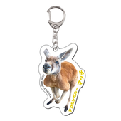 マッチ（アカカンガルー）／アクリルキーホルダー