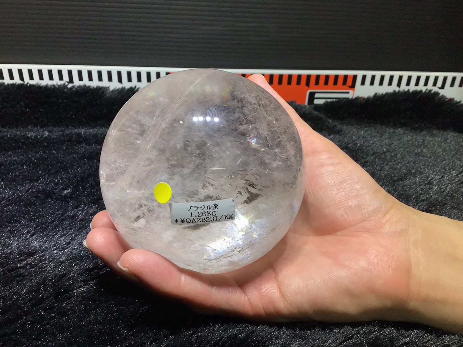 �֥饸�뻺�徽�ݶ̡���A����96�С�����No.5