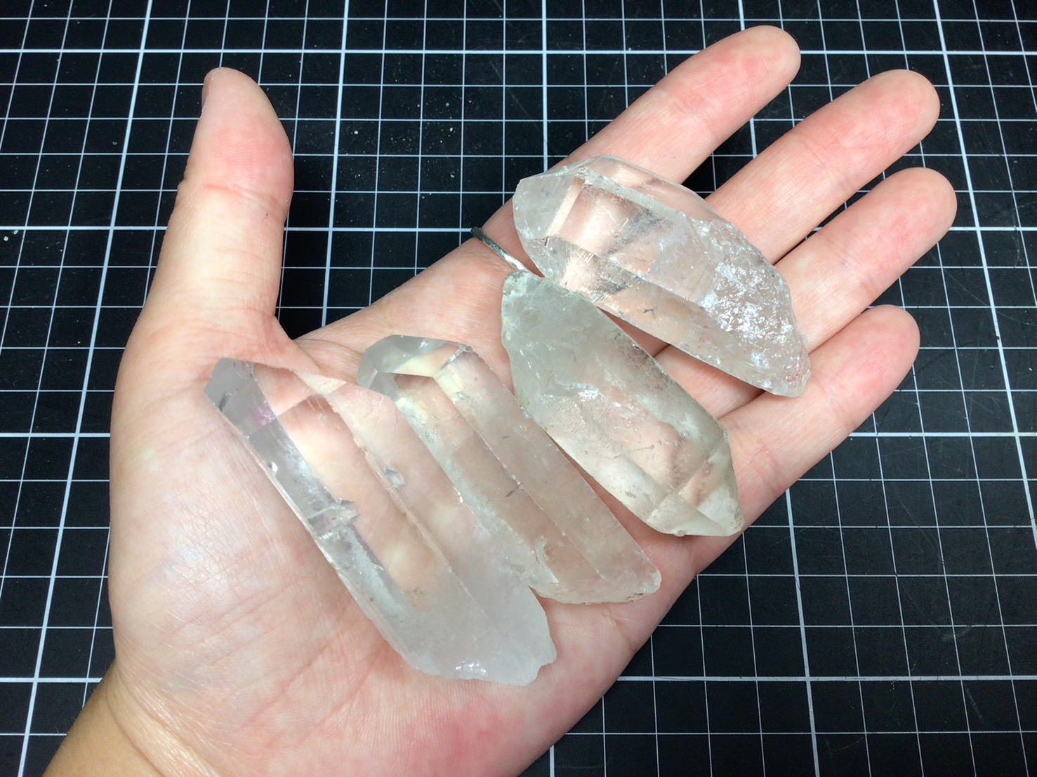 �֥饸�� �ߥʥ������饤������ �徽ñ�� 30��49�� 500g�ѥå�