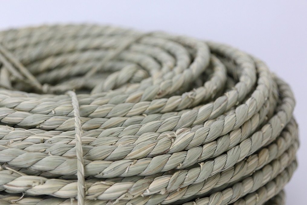 南天と柘植のいわみのしめ縄 南天と柘植のいわみのしめ縄 -