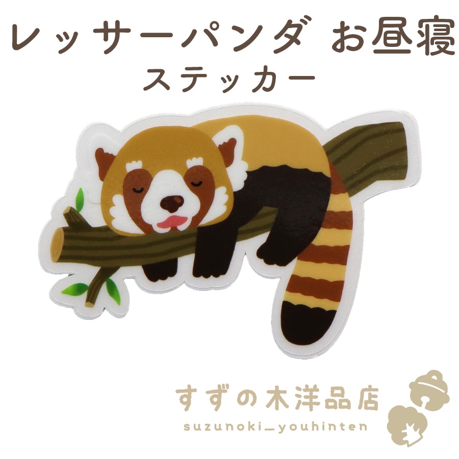 レッサーパンダ お昼寝 防水 ステッカー 透明【すずの木洋品店】
