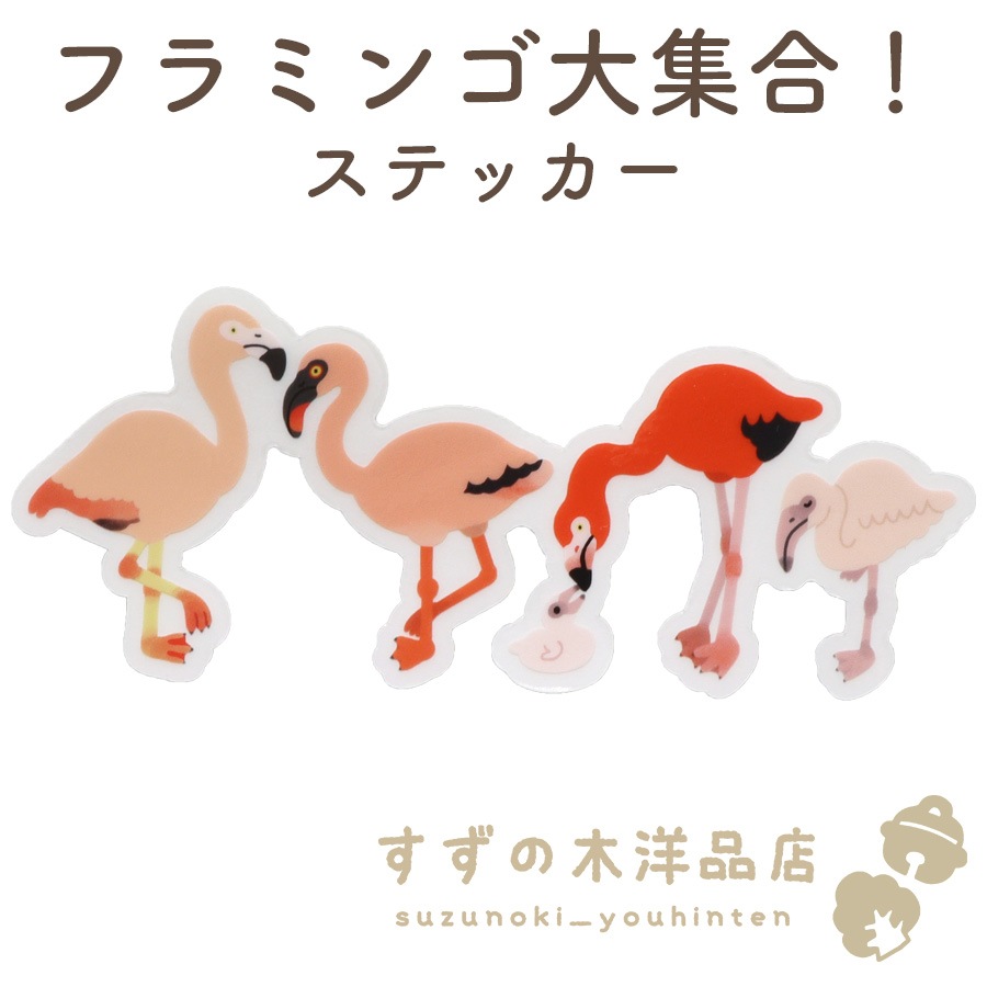 �ե�ߥ��罸�硪 �ɿ� ���ƥå��� Ʃ��