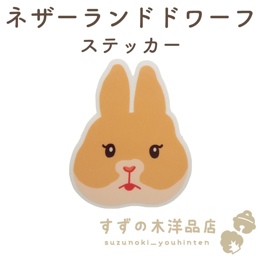 �ͥ������ɥɥ�� ������ �ɿ� ���ƥå��� Ʃ��