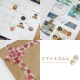 ڥ󥮥罸硪kirakira version ޥ󥰥ơ