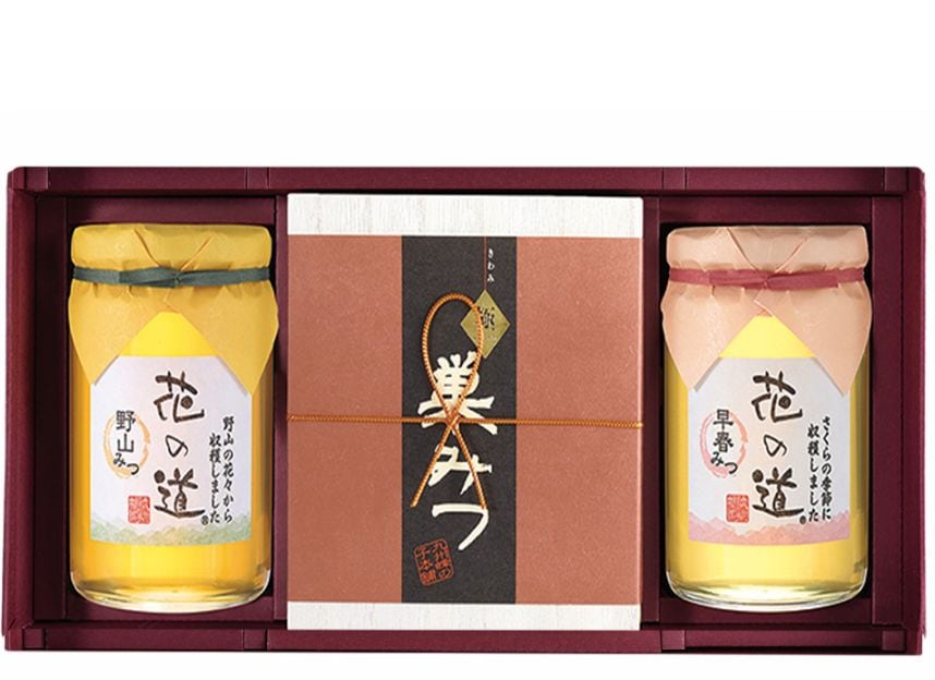 極 巣みつ　野山みつ・早春みつ（各430g）ギフト
