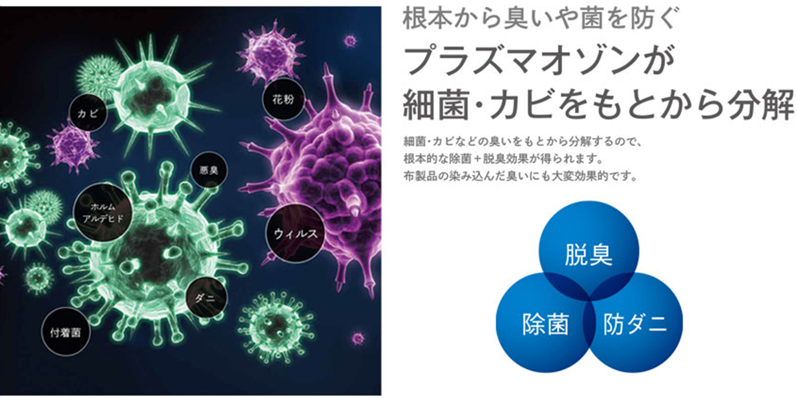 �ץ饺�ޤ��������ʬ�򤹤���Ȥߤ򼨤������᡼����