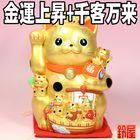 �⿧�μ�ʡ����ǭ�òİ�������ǭ����ʪ������