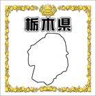 11.���ڸ��ڡ����ι���Ǻܥ��ڡ���������