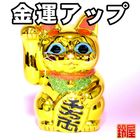 金色の右手上げ招き猫の置物｜常滑焼招き猫を販売