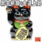 �����α���夲����ǭ����ʪ�þ��ƾ���ǭ������