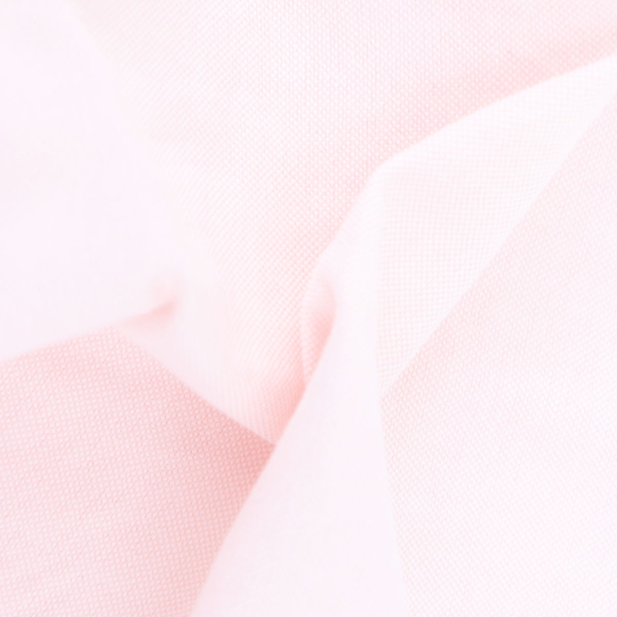 NEW!! THE STANDARD SHIRT åե ܥ󥷥 Ⱦµ SL1400014colors