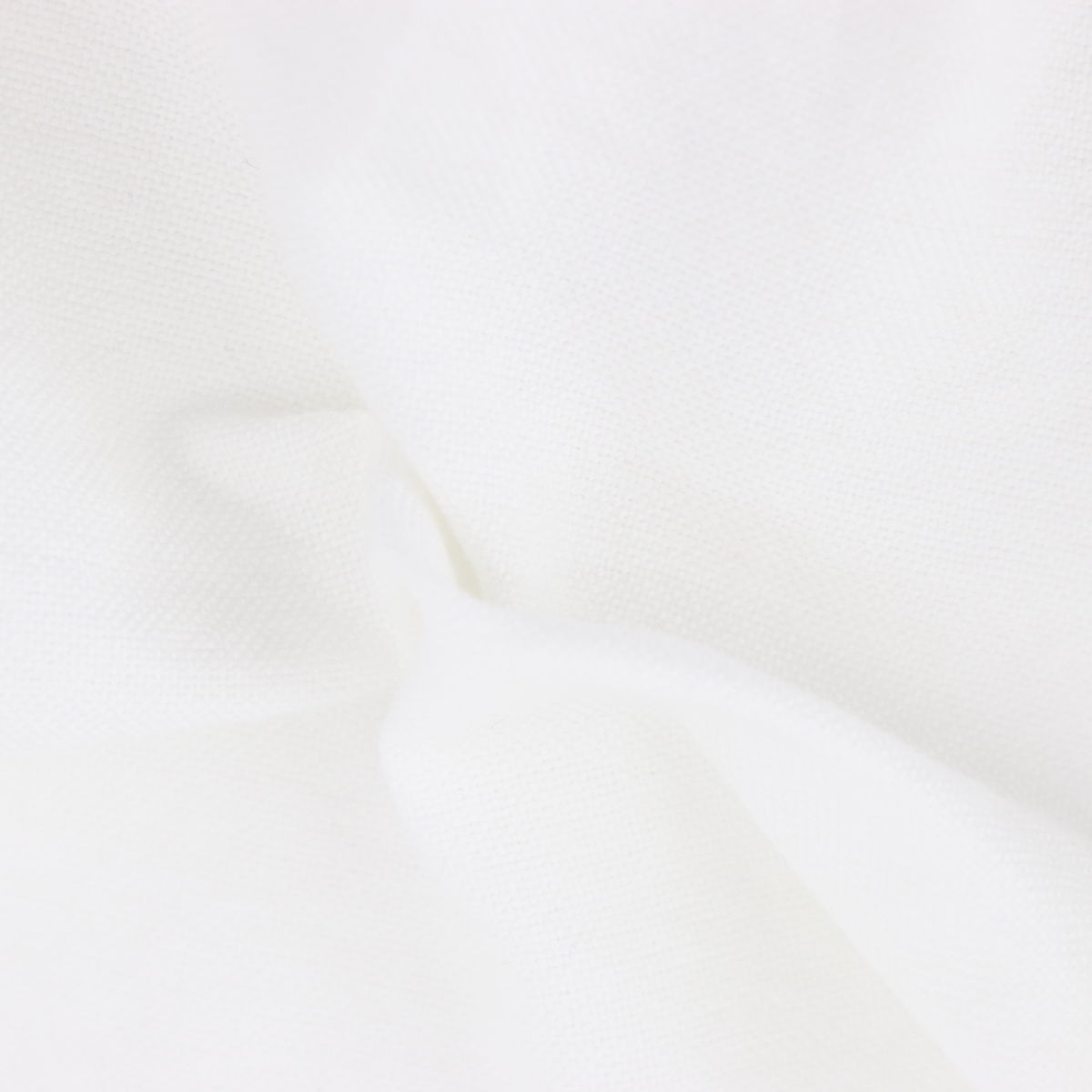 NEW!! THE STANDARD SHIRT åե ܥ󥷥 Ⱦµ SL1400014colors