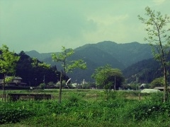 �֥饸�롡���ơ��顡500��