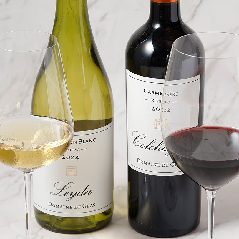 ꥨ֥磻2ܥåȡBåȡ