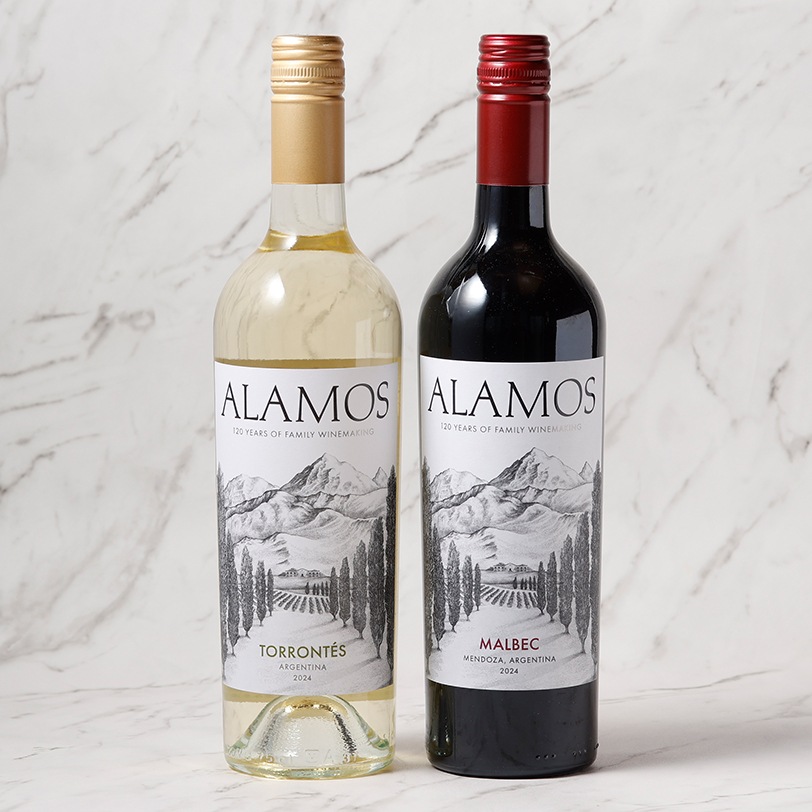 ꥨ를֥磻2ܥåȡåȡ