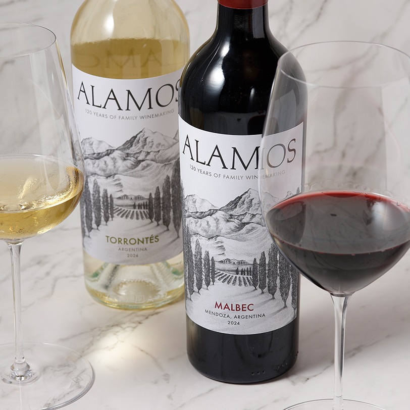 ꥨ를֥磻2ܥåȡåȡ