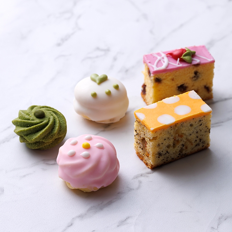 �������ʥ�ץƥ��ա��롦�ץ�󥿥� D(5��10������