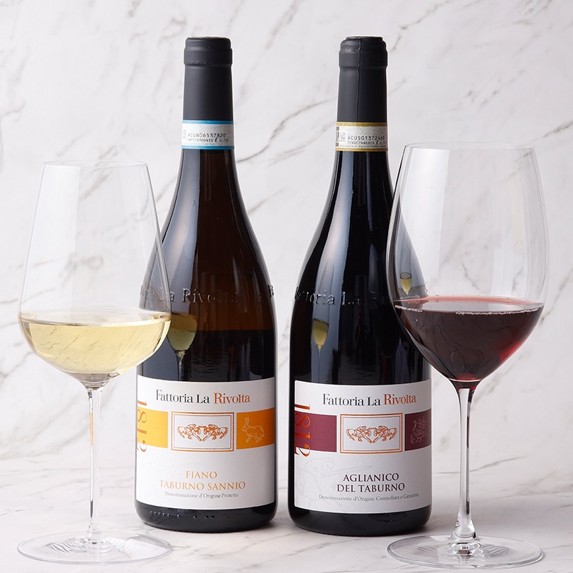 ����ꥨ���������ߤξ��������˹�碌�������������륤���ꥢ�磻������2�ܥ��åȡ�B���åȡ��ߡ�