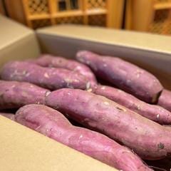 低温熟成保管!! 茨城県産紅はるかLサイズ５㎏