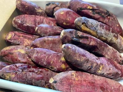 【ギフト】熟成蜜芋♪ねっとり甘い蜜焼き芋 2㎏