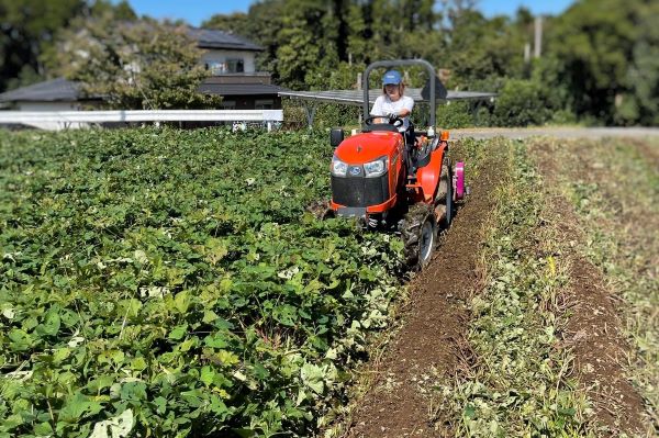 低温熟成保管!! 茨城県産紅はるか2Lサイズ10㎏