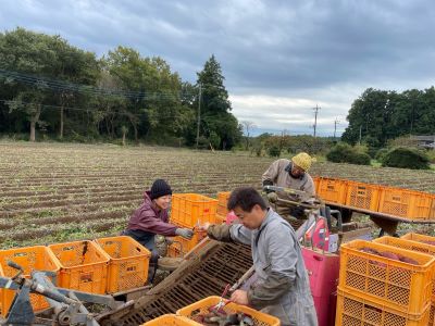茨城県産紅はるか　蜜焼き芋ペースト　1㎏