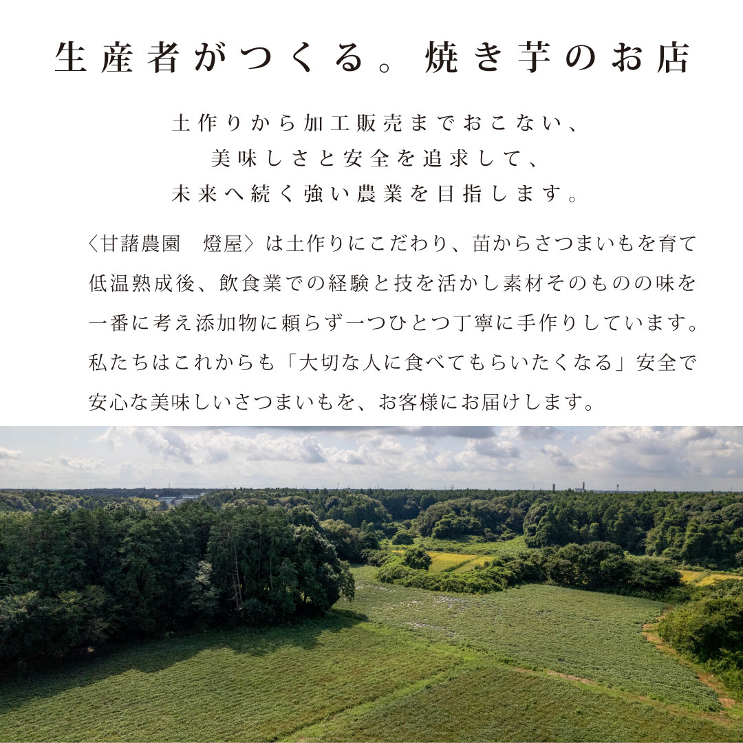 【訳あり】茨城県産 紅はるか 平干し芋 850ｇ×1袋【ネコポス配送】
