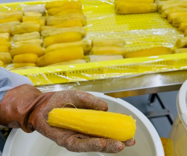 干し芋食べ比べ 茨城県産紅はるか 平干し 食べきりサイズ150ｇ×3パック　丸干し芋×2パック