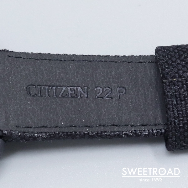 シチズン プロフェッショナル 800mダイバー サチュレーション Ref.2852