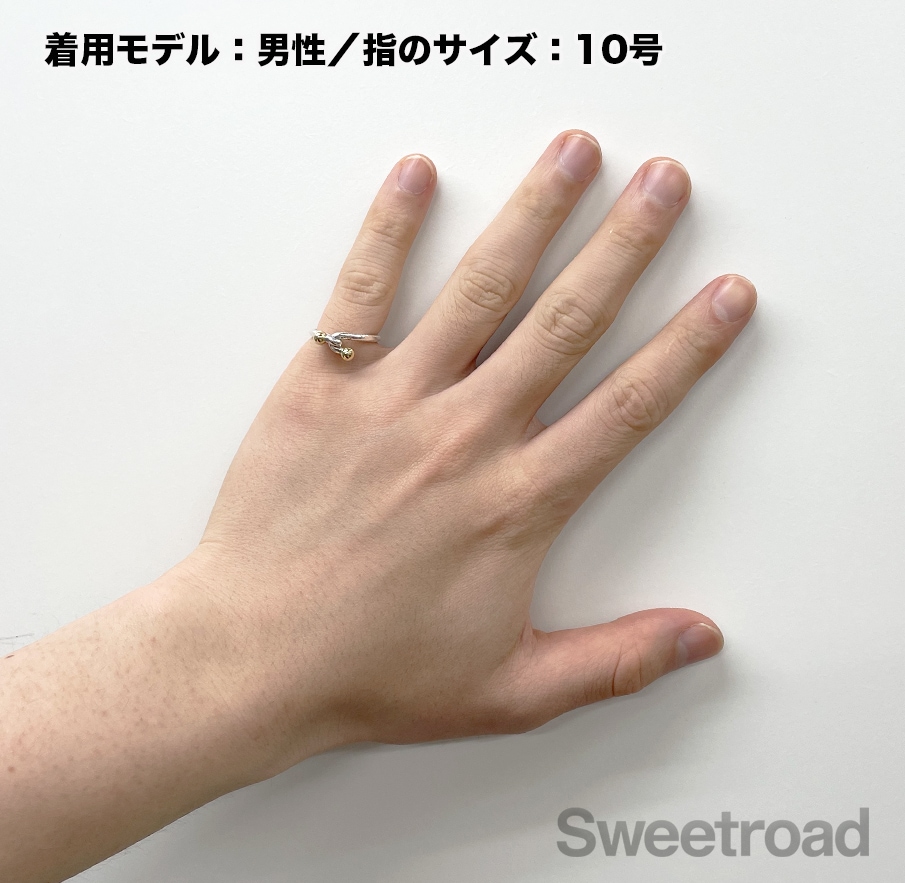 ティファニー フックアンドアイ ダブルアイリング 11号 | スイート