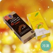 【夏ギフトポイント10倍】田野屋塩二郎プチシューラスク （10枚入） +ゆず香る里のショコラサブレ（10枚入）　※紙袋1枚付