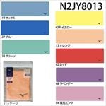 �ߥ���(MIZUNO) �����ॿ���벣Ĺ(21x69cm) ʿ���ѥå��������� N2JY8013