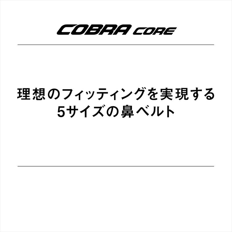(�ͥ��ݥ��Բ�)���꡼��(ARENA) ������ ���å���󥴡����� COBRA CORE(���֥� ����) AS6SGGN3U
