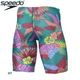 ���ԡ���(SPEEDO) ������ �����ѿ��� ��󥺥����󥺥���ޡ� ST62554