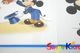 ★おまけ！ミッキーメイト付★ 2020年購入 ミッキーパッケージ+Q&Aカード フルセット 未開封多 DWE ディズニー英語システム【20260707699】