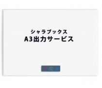 ����ѥѥå�������A3�������ץ��ȡ�10�祻�åȡ���������