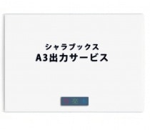 ����ѥѥå�������A3�������ץ��ȡ�50�祻�åȡ���������