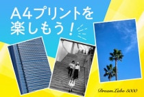 �ɥ꡼����A4����3�� ���ָ������