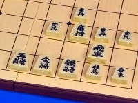 将棋盤と駒のセット Amazon | 学習用駒付き 将棋盤フルセット 将棋盤と駒の将棋