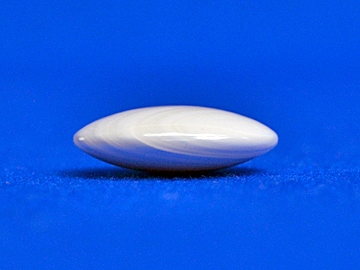 蛤碁石 25号 月印(厚み7.0mm) | 蛤碁石,蛤碁石(メキシコ産) | 将棋盤