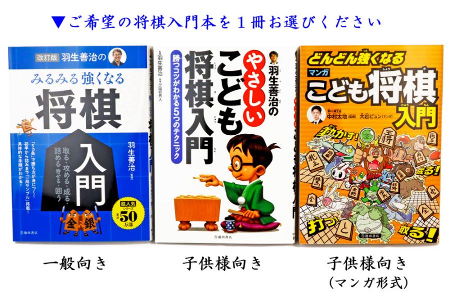 囲碁将棋ペア入門セット（囲碁将棋両用卓上盤新桂1寸ハギ・ガラス碁石
