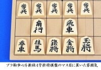 将棋 セット　小型新桂4号折将棋盤セット(プラ将棋駒歩心・駒台)