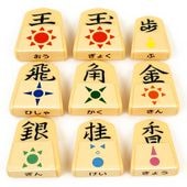 プラスチック将棋駒補助シール付きのプラスチック将棋駒 王将 水無瀬書体  ※駒の進み方が描かれていて子供様や将棋初心者の方に便利