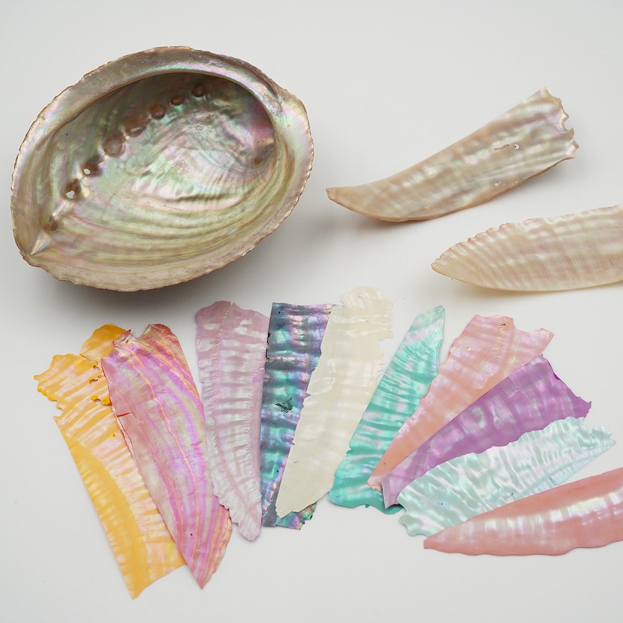 螺鈿細工 手鏡 桜に樫鳥