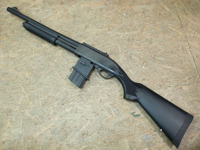 ̱ åȥޥ󥢥ץ Salamander 