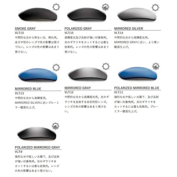 �ڹ��������ʡ� ESS Cross Series Custom