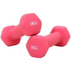 ダンベル 1kg 2個 セット カラー トレーニング 筋トレ 初心者 エクササイズ ダイエット 鉄アレイ PVC コーティング 筋トレグッズ コンパクト おしゃれ かわいい 自宅 ジム 持ちやすい ピ