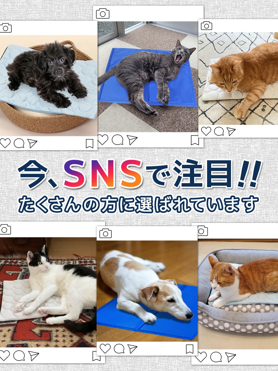 犬 ベッド 夏 冷却 ジェルマット カバー セット ペットベッド ひんやり マット 猫 接触冷感 暑さ対策 敷物 2WAY 洗えるマット Lサイズ